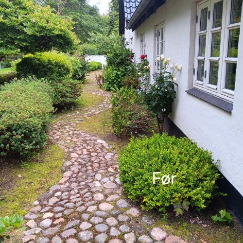 Haveservice i Bramming før beskæring og oprydning ved stensat gangsti.
