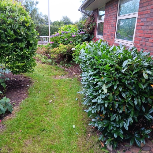 Haveservice i Grimstrup med klippede hække og ryddet græsareal.