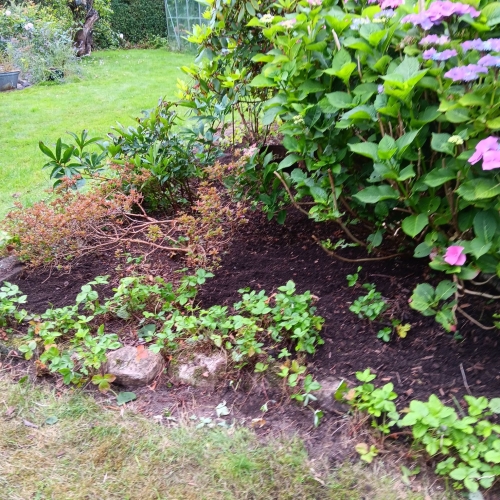 Opryddet blomsterbed efter haveservice i Grimstrup.