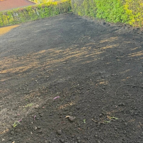 Haveanlæg i Ribe med planeret jord klar til ny græsplæne.