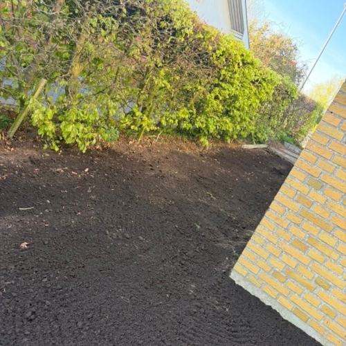 Haveanlæg i Ribe med ny jord langs hæk klar til græsplæne.