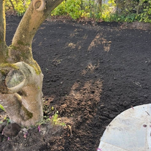 Haveanlæg i Ribe med sort jord forberedt til såning af ny græsplæne.