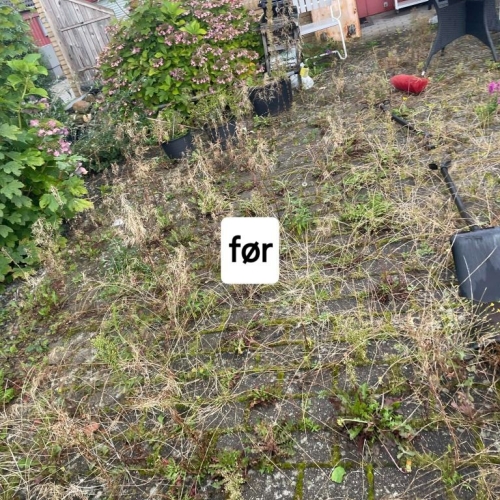 Haveprojekt i Bramming