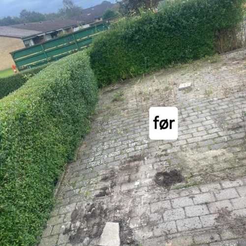 Haveprojekt i Bramming