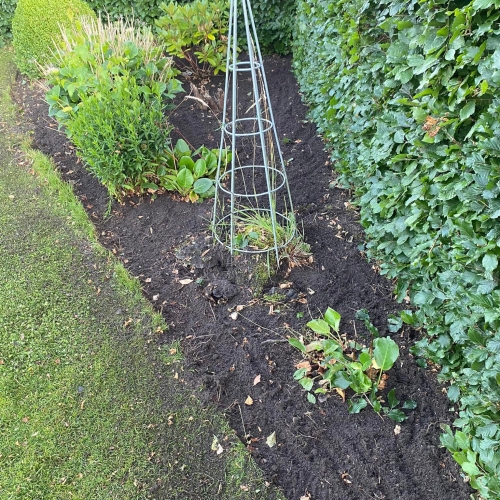 Anlæg af have med espalier og nyplantede buske – jord klar til dækning.