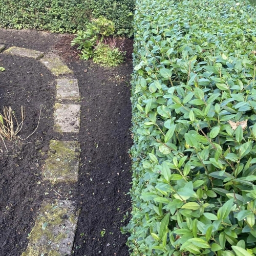 Haveanlæg med jordforberedelse og beplantning – klar til sæsonstart.