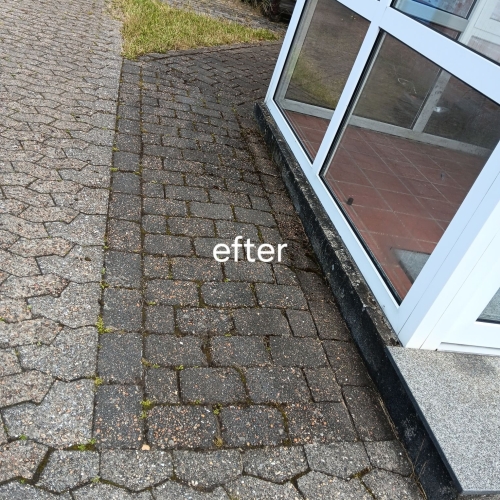 Haveservice med rensede fliser – ukrudtsfri indgang efter rengøring.
