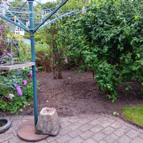 Oprydning i have med beskårne buske og ryddet bed i Grimstrup.