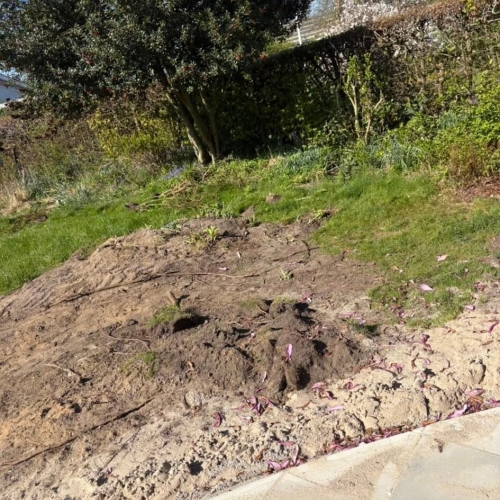 Haveanlæg i Ribe med opgravet jord klar til ny græsplæne.