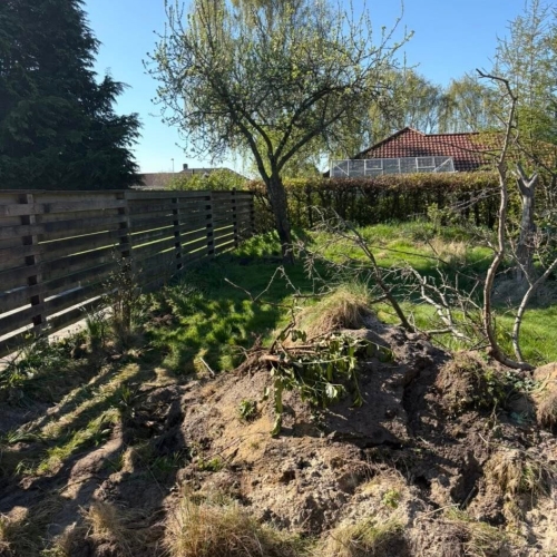 Haveanlæg i Ribe med fjernelse af gamle planter og klargøring til ny græsplæne.