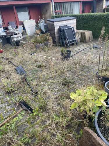Førbillede af gammel, tilgroet terrasse før flisearbejde og ny terrasse blev anlagt.