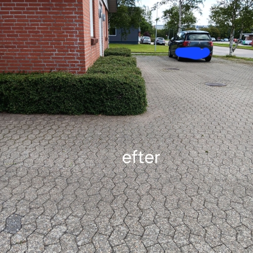 Haveservice med klippet hæk og ryddet fliseområde – professionelt resultat.