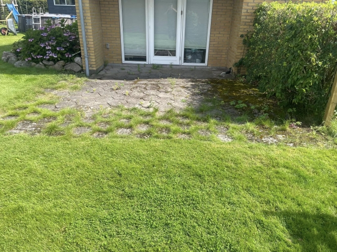 Gammel terrasse før renovering – fliser med mos og ukrudt.