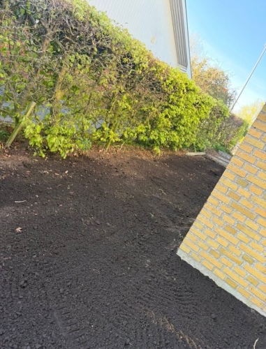 Haveanlæg i Ribe med ny jord langs hæk klar til græsplæne.