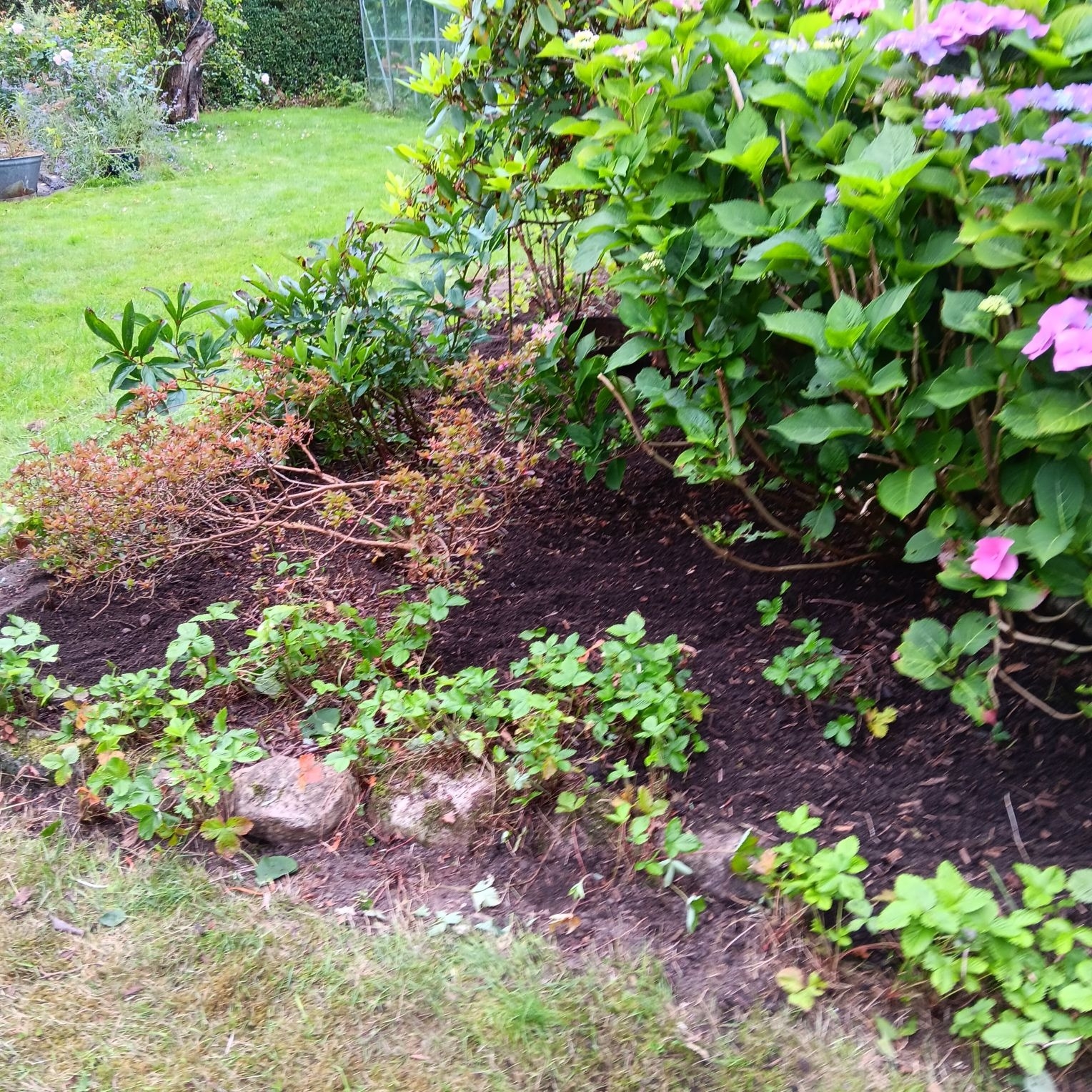 Opryddet blomsterbed efter haveservice i Grimstrup.